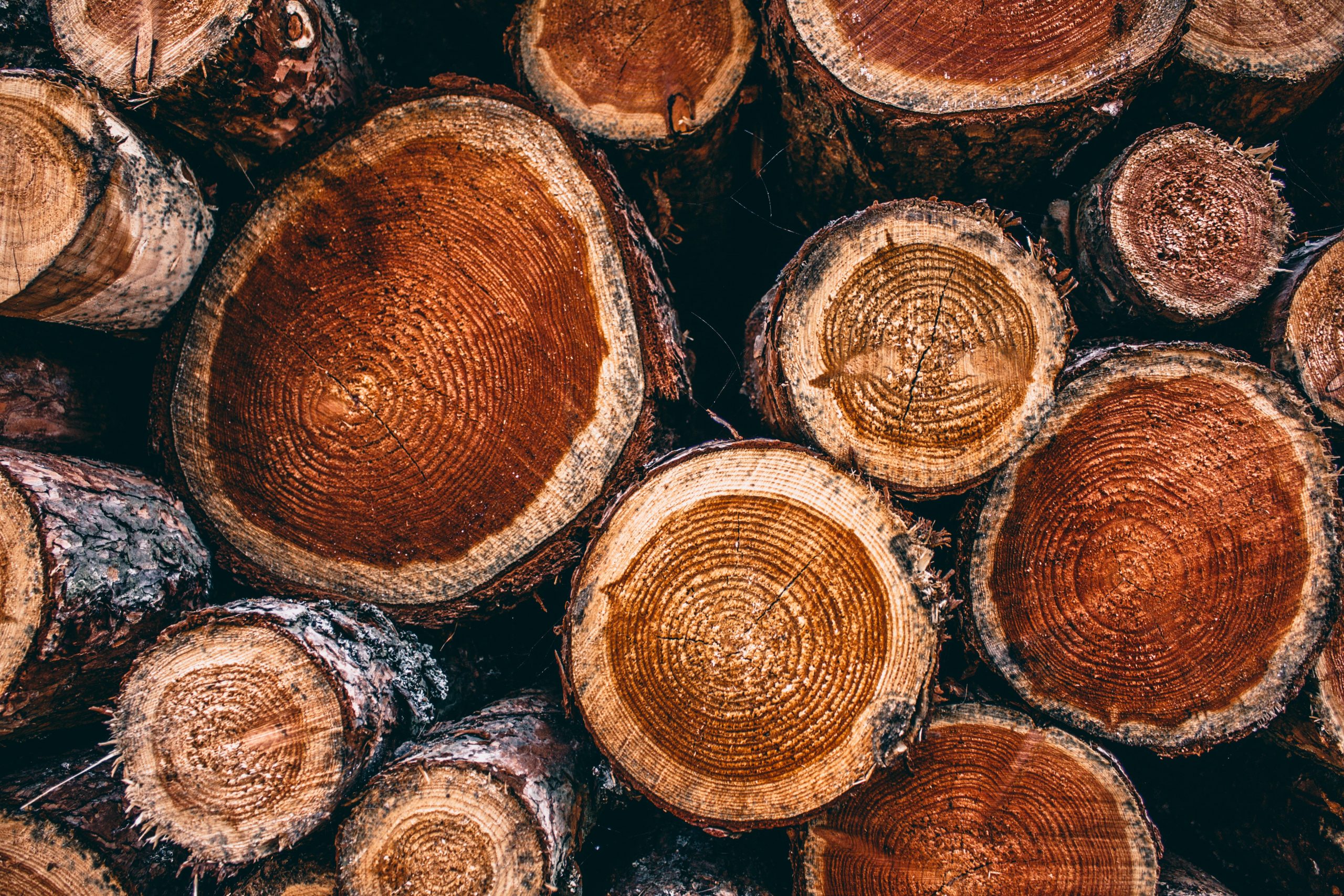 Neue Schweizer Holzhandelsverordnung